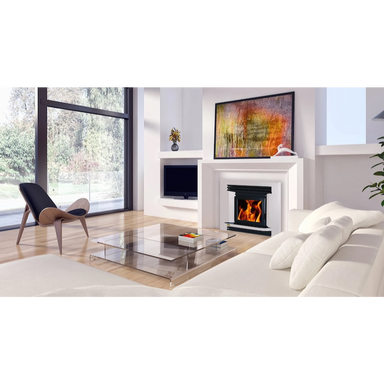 Ethos Ares Insert Wood Fire 14kW NZ Made High Efficiency Wood Burner